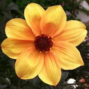Karin Yospe's photo