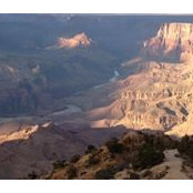 Sarah Nedved's photo