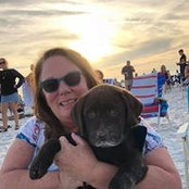 Susan Kelly's photo