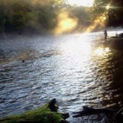 George Sander's photo