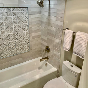 Rosslyn High-Rise Condo Total Remodel