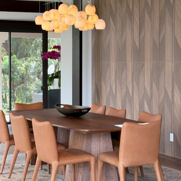 Mid century contemporary house