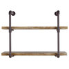 Danya B. 2 Tier Industrial Pipe Wall Shelf