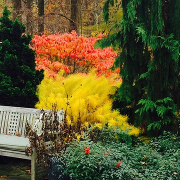 Threadleaf Bluestar & Flowering Dogwood