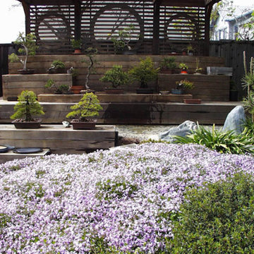 Bonsai Grow Display Garden