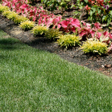 Leisure Time(R) Zoysia Garden