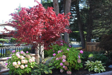 Inspiration for a landscaping in Vancouver.