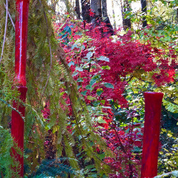 Blown glass bamboo and Japanese maple