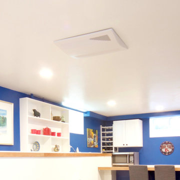 Basement Remodel