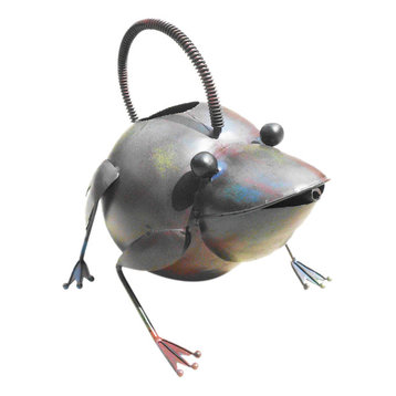 Iron Frog Watering Can