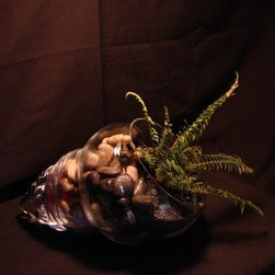 Polystichum munitum (Western Sword Fern) - Mixed Media Art