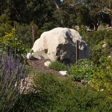 Montecito Phoenix rise from the ashes