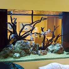 Aquariums