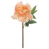Set Of 5 Faux Peony Stem 14", Coral