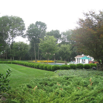 lawn (leach field), boxwood hedge on top of wall with pool in lower terrace
