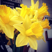 R B's photo