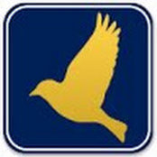 Renee B. Goldfinch's photo