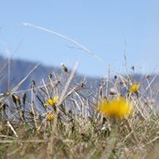 Zaina Baggins's photo