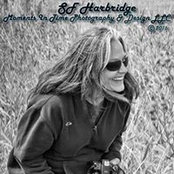 Stephanie Harbridge's photo