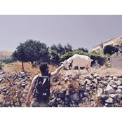 Yassin Ismaël's photo