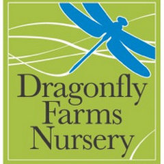 Dragonfly Farms Nursery