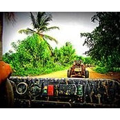 Adam Ignaciuk's photo