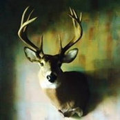 Chad Gantner's photo