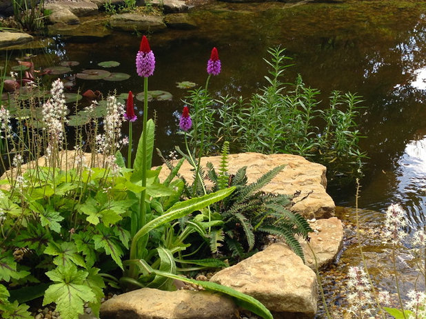 Clásico Jardín by Claudia De Yong Garden Design