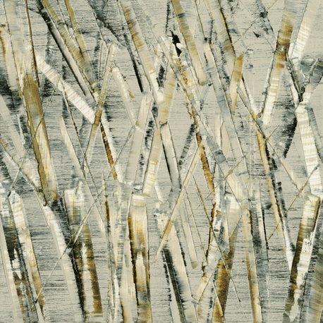 "Birches V" Fine Art Giant Canvas Print, 54"x54"