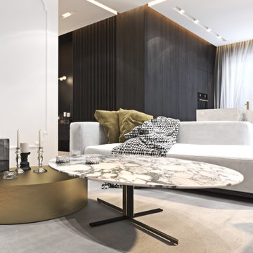 Luxurious apartment