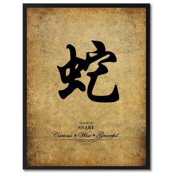 Snake Chinese Zodiac Character Canvas Print, Custom Picture Frame, 13"x17"