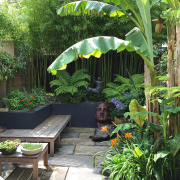 Urban tropical