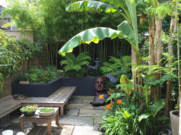 Tropicale  by antonia schofield garden design