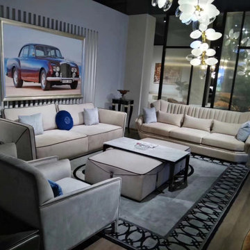China home villas furniture solutions