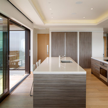 La Jolla Residence