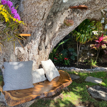 100 Year Old Tree Bench