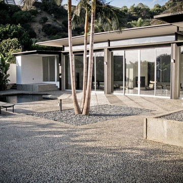 Rex Lottery House