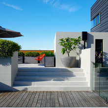 Landscape Ideas