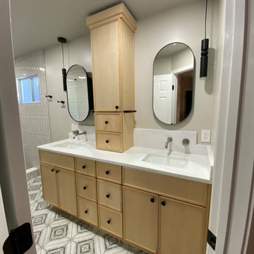 Johns Creek Tub to Shower Conversion Hall Bath