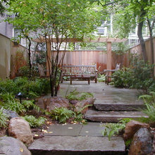 new landscaping