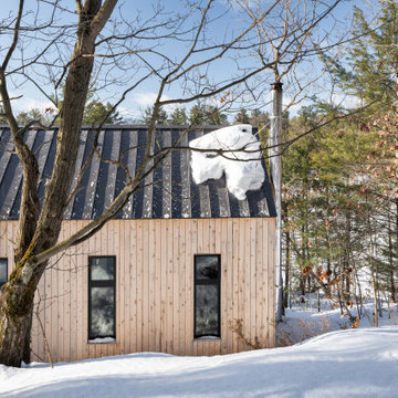 Baldie Hill Bunkie