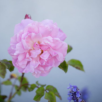 Campus Residence