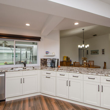 Kitchen/Living/Dining Space Renovation