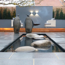 Swim Club