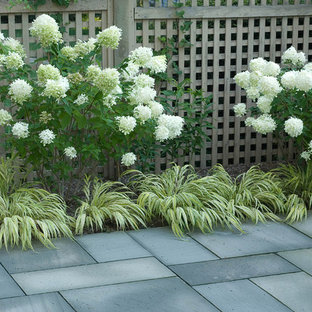 Cette photo montre un jardin éclectique.