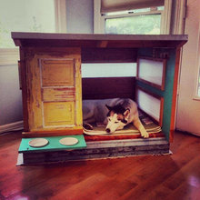pet places