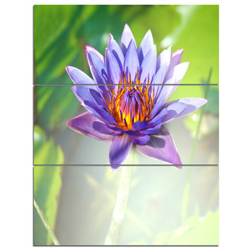 Huge Purple Lotus on Green Background, Flower Canvas Art Print, 28x36, 3 Panels