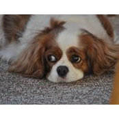 Kathie Sanft's photo