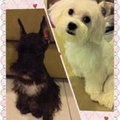 Yap Leong Pin's photo