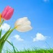Venkat Reddy's photo